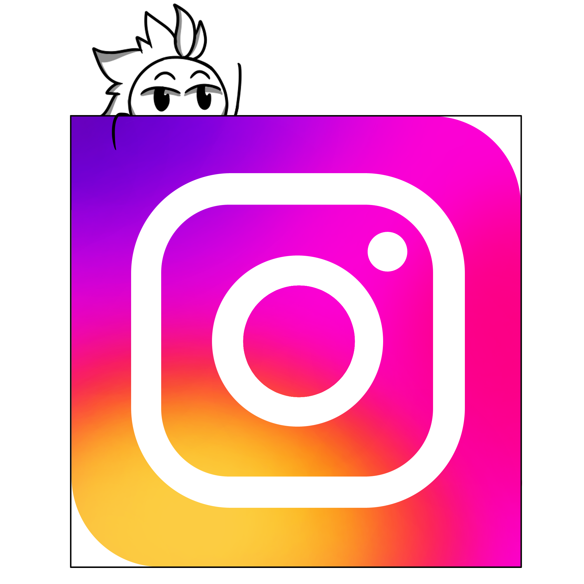 instagramIcon